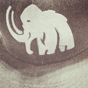 Meet your Posher, Reginald